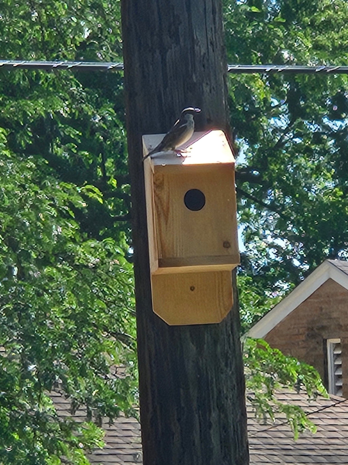 Basic Bird House - Platte valley woodworks